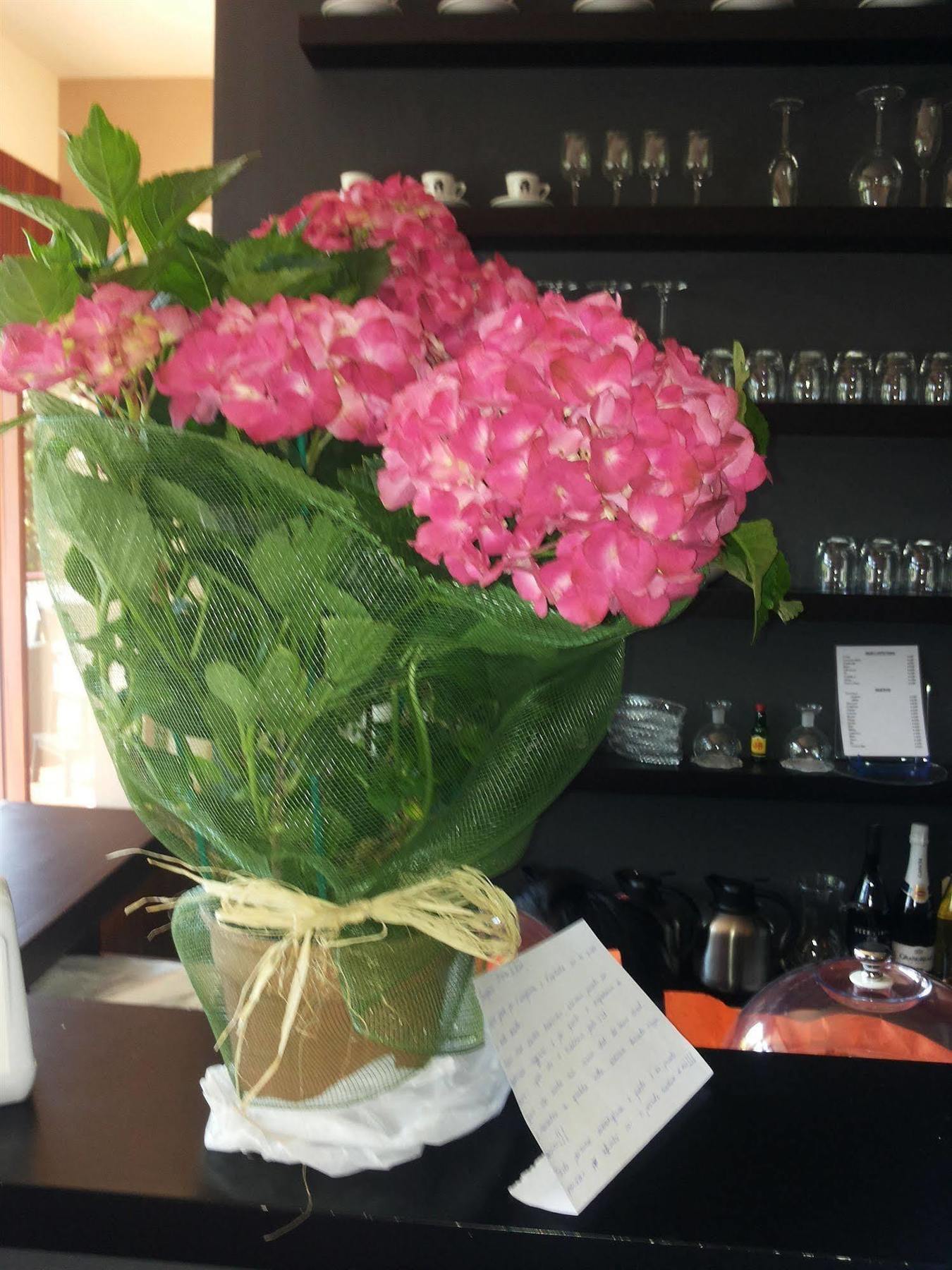 Aida Charming Rooms Rzym Zewnętrze zdjęcie